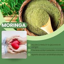 Moringa Natural Medix