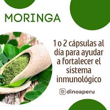 Moringa Natural Medix